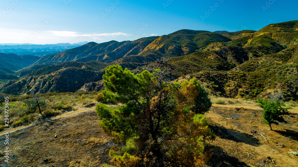  California Pacific Forest Aerial- Angeles National Forest Post Wildfire