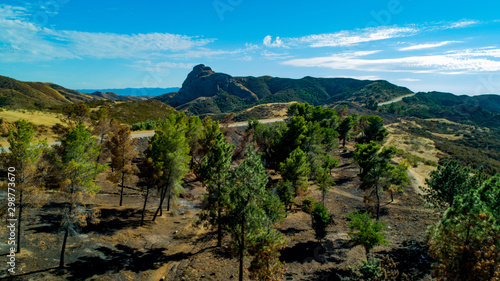  California Pacific Forest Aerial- Angeles National Forest Post Wildfire