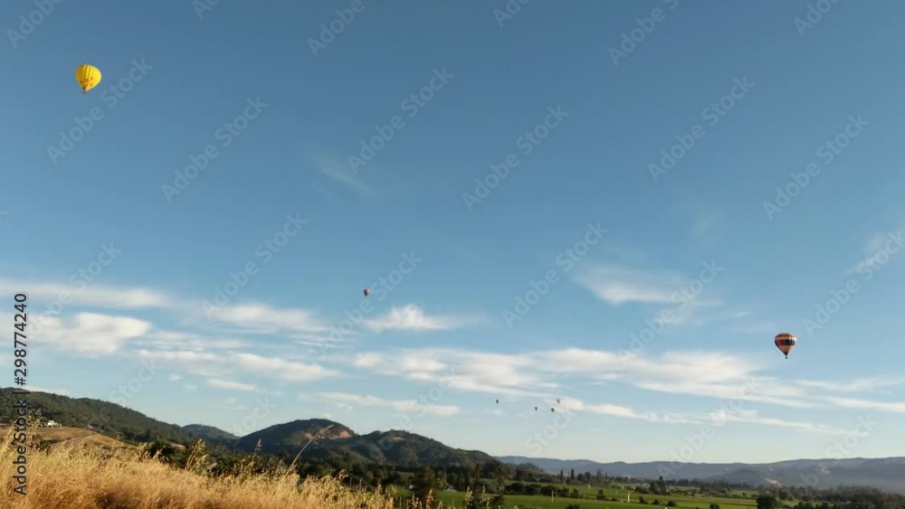WS of Napa Valley wine growing region with hot air balloons dotting the blue sky with scattered clouds. Napa Valley, California. WS of Napa Valley wine growing region with hot air balloons dotting the blue sky with scattered clouds. Napa Valley, California.