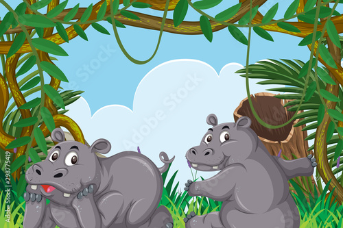Fototapeta Cute hippos in jungle scene