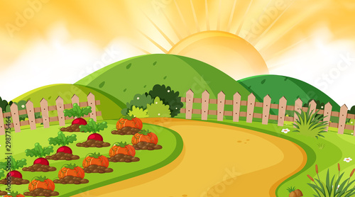 Landscape background design of vegetable garden at sunset