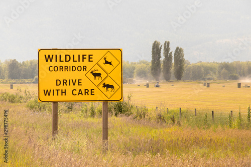 Waring wildlife corridor ahead : drive with care sign
