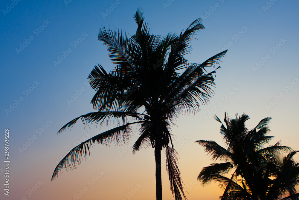 Obraz premium Palms sunset ocean