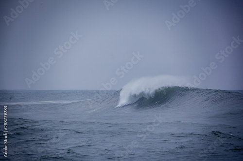 wave ocean surfing