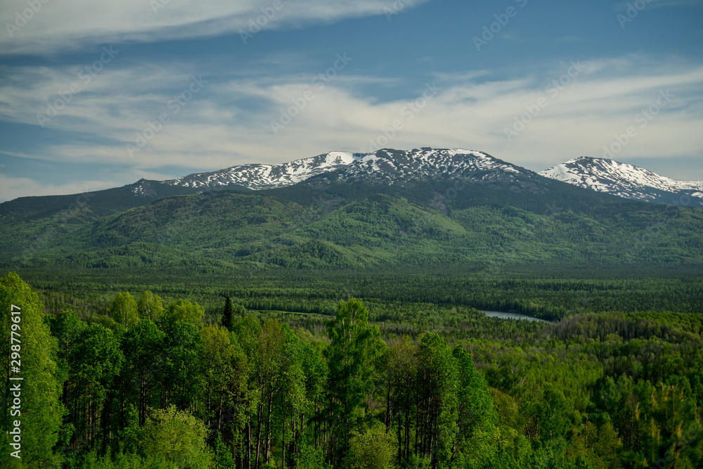 Naklejka premium forest, river, village