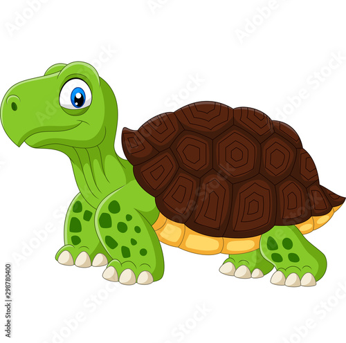 Cartoon funny turtle isolated on white background