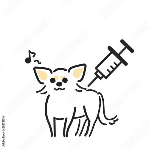 注射　犬　痛くない　チワワ