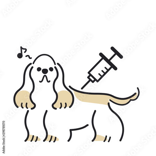 	注射　犬　痛くない　アメリカンコッカースパニエル