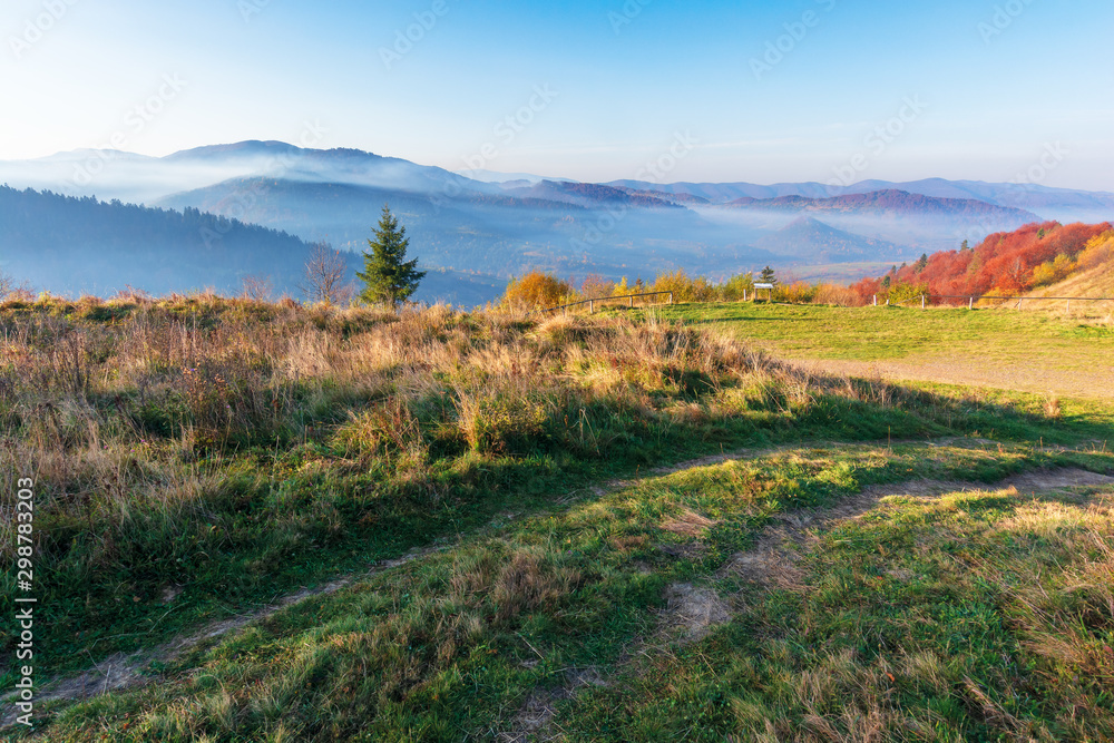 beautiful countryside in the morning. path through meadow in weathered grass. trees on the hills in colorful foliage. distant mountains in fog rising above the valley. blue cloudless sky