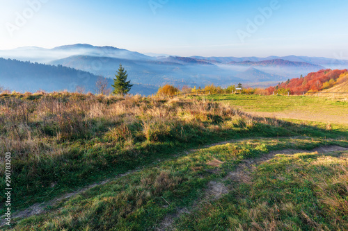 beautiful countryside in the morning. path through meadow in weathered grass. trees on the hills in colorful foliage. distant mountains in fog rising above the valley. blue cloudless sky