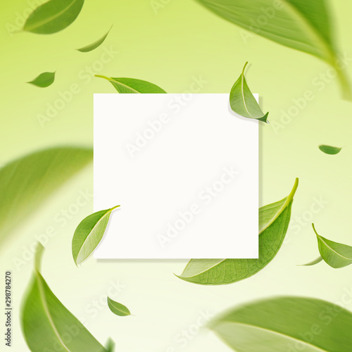 Creative modern card design of flying whirl green leaves in the air with paper card, Nature concept by tea leaf, Flat lay