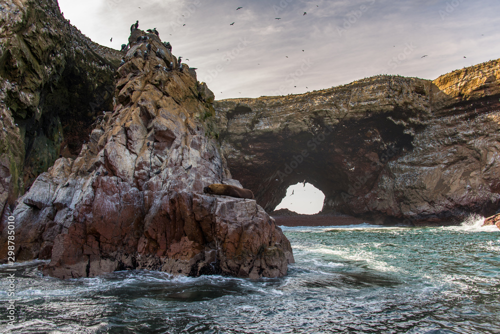 Fototapeta premium Ballestas Islands in the Pacific Ocean (National Reserve Paracas, Peru)
