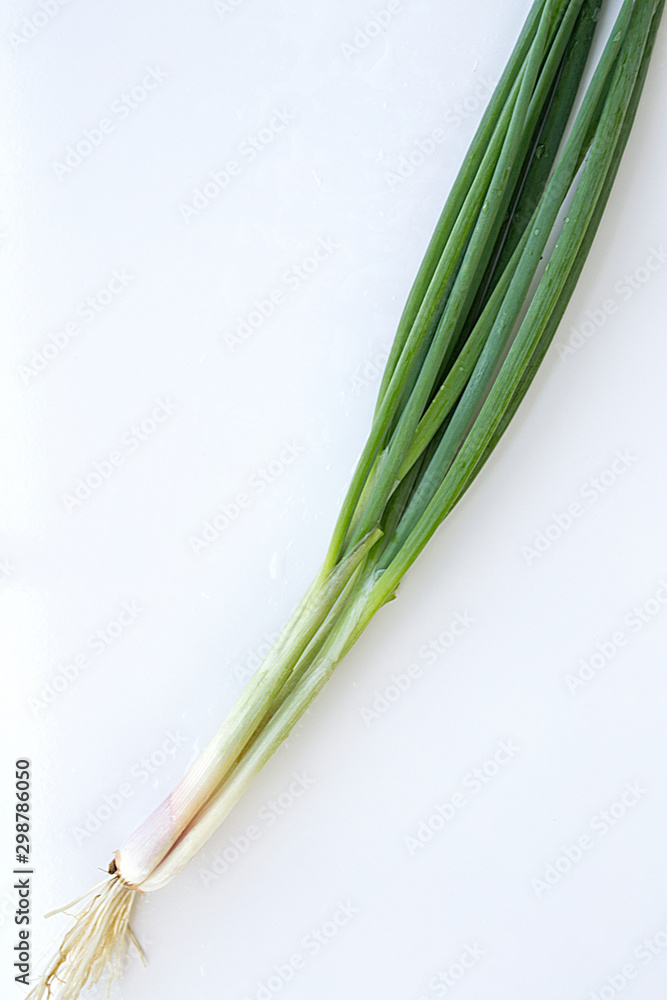 Spring onion on a white background. Spring onion on a white background.