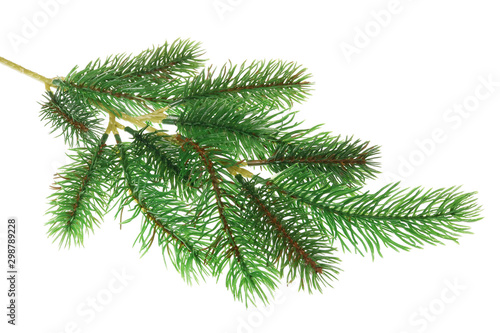 Artificial dead plastic pine spruce branch for eternal Christmas decorations isolated macro