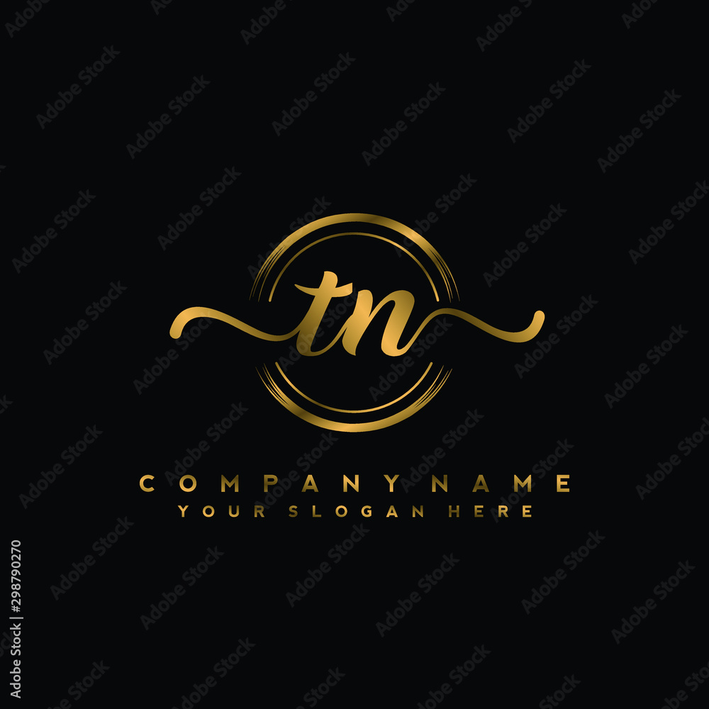 TN Initial handwriting logo design with golden brush circle. Logo for  fashion,photography, wedding, beauty, business Stock-Vektorgrafik