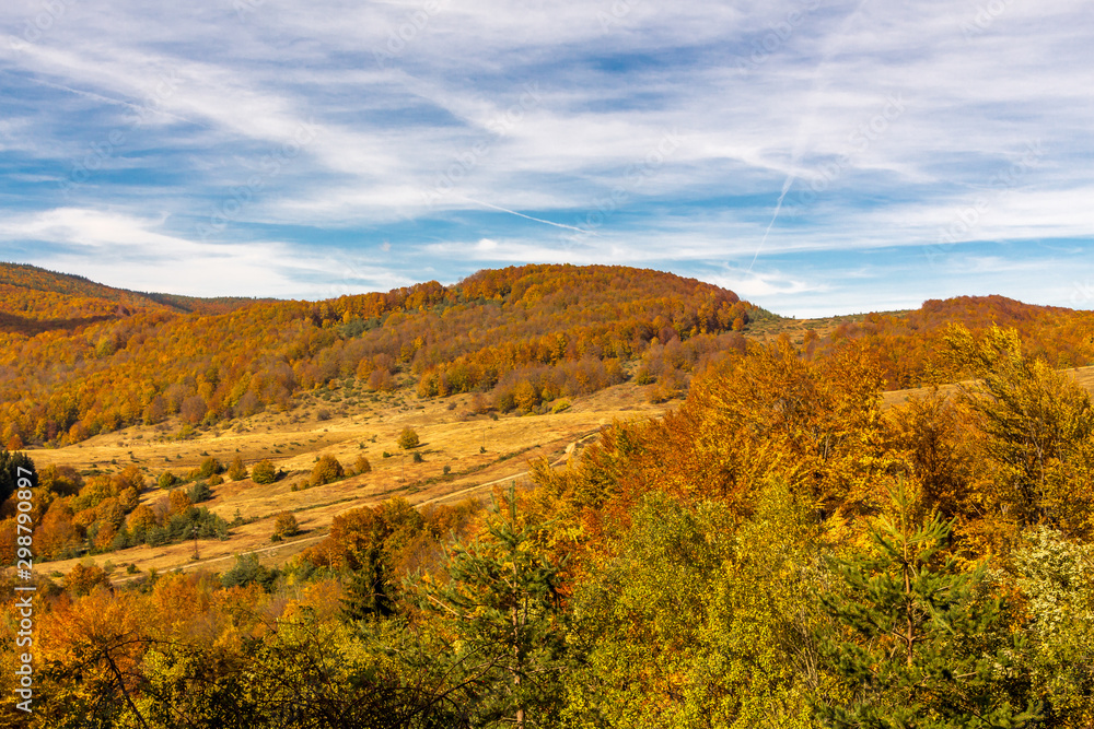 Beautiful orange trees in the mountain in Bulgaria. Beautiful orange trees in the mountain in Bulgaria.