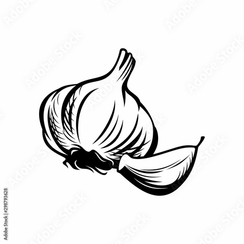 Garlic vector illustration. Vegetable food and spice.