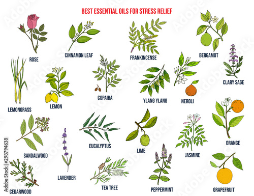 Best essential oils for stress relief