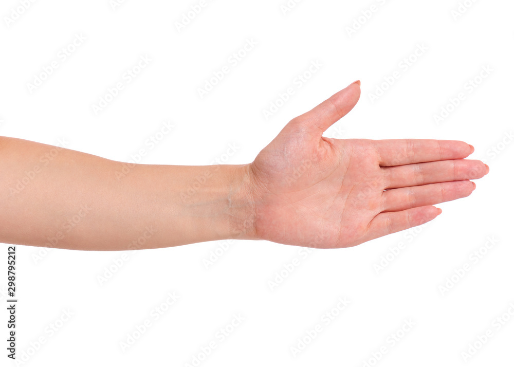 Female stretching hand to handshake isolated on white background. Beautiful hand of woman with copy space.