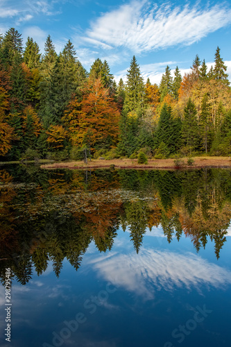 Forest lake in autumn colorful foliage