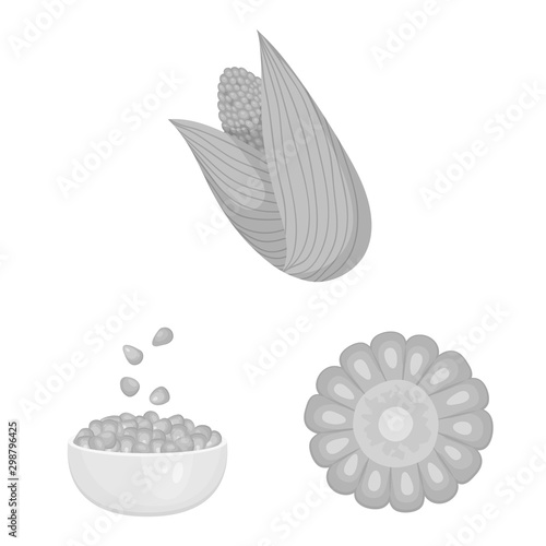 Vector design of agriculture and nutrition symbol. Collection of agriculture and vegetable stock vector illustration.