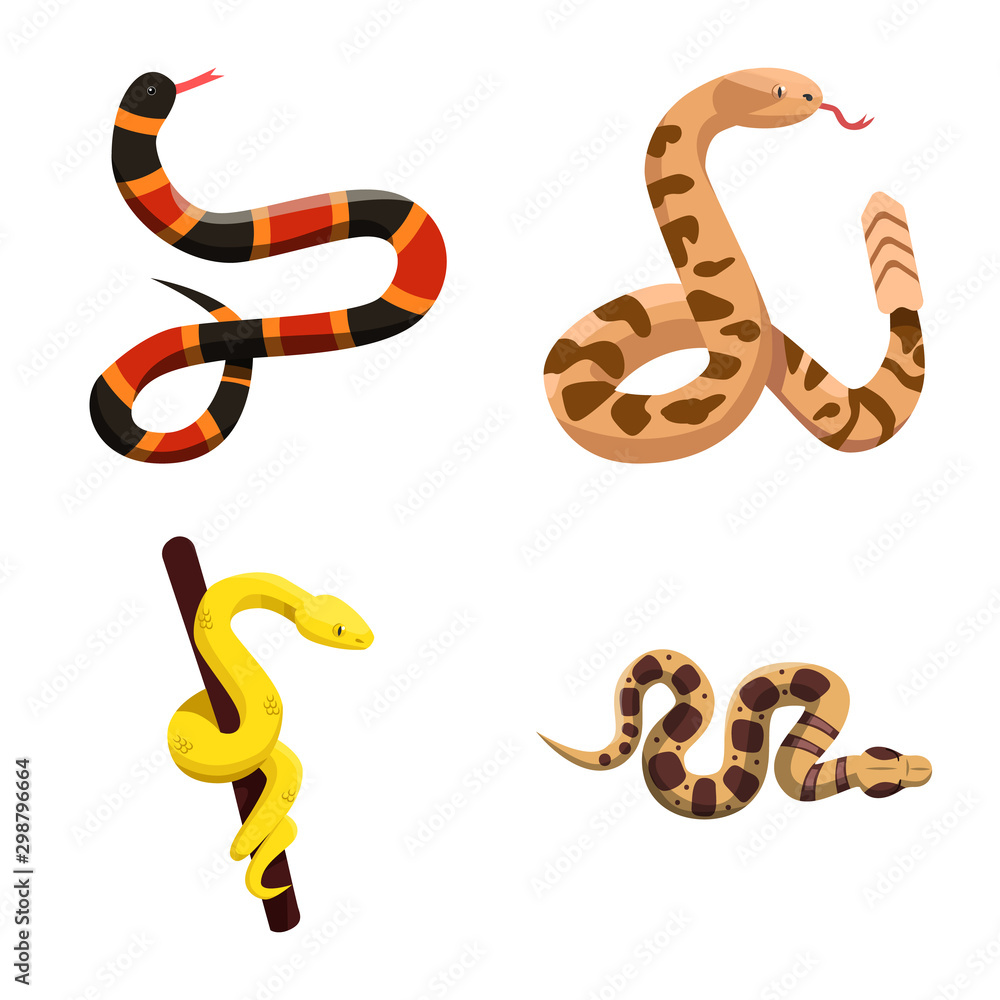 Isolated object of snake and creepy icon. Set of snake and danger stock vector illustration. Isolated object of snake and creepy icon. Set of snake and danger stock vector illustration.