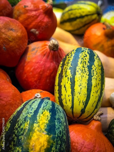 Fototapeta potimarron et courges