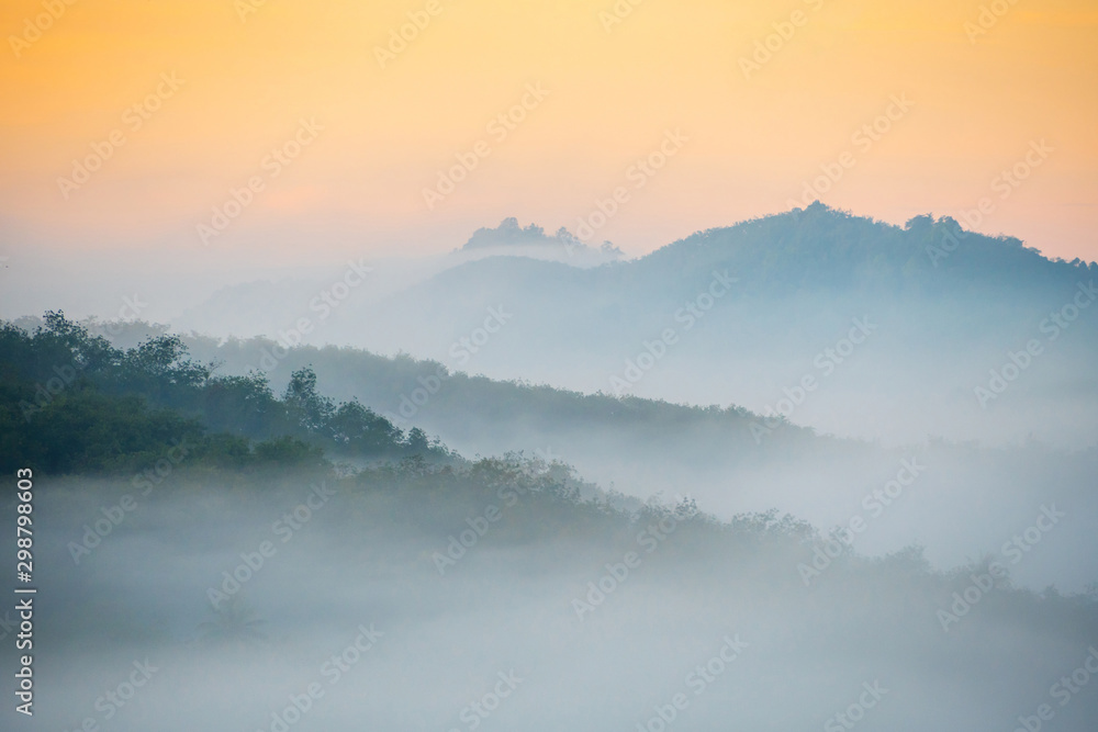 Beautiful fog in the morning