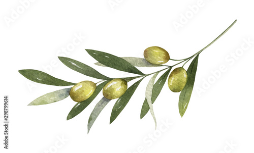 Leinwand Poster Watercolor vector olive branch with leaves and fruits.