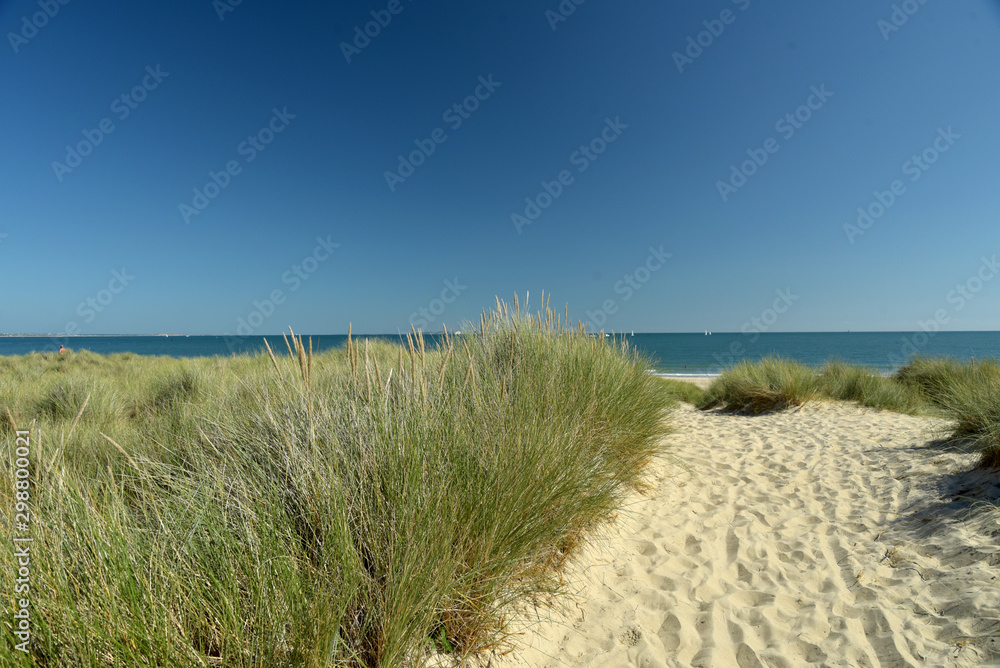 The sandy beach and dunes at Studland Bay near Swanage in Dorset on the South Coast The sandy beach and dunes at Studland Bay near Swanage in Dorset on the South Coast