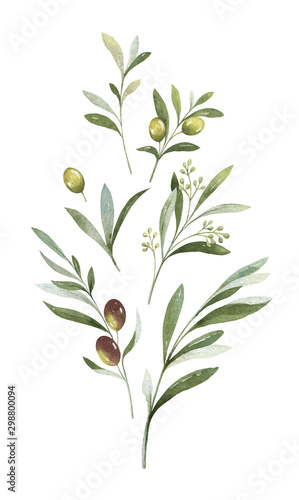 Photo Watercolor vector bouquet of olive branches and flowers.