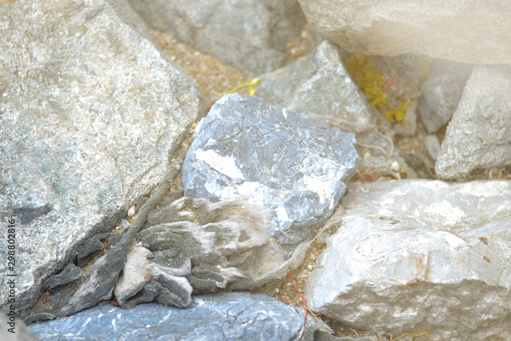 trash in the rock trash in the rock