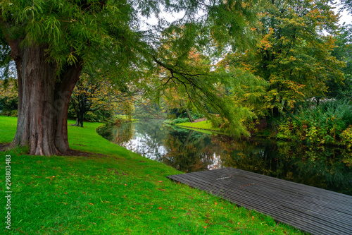 Fototapeta Naklejka Na Ścianę i Meble -  Beautiful autumn scene in Rotterdam city park, Netherlands.