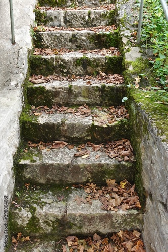 Alte Treppe aus Stein mit Moos bewachsen