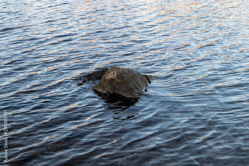 rock peaking out of water