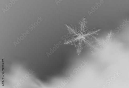 Siberian snowflake, christmas, winter, cold tones