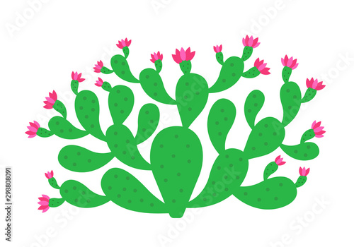 Opuntia cactus plant. Prickly pear blossom. Nopal. Indian fig opuntia shrub. Vector illustration.