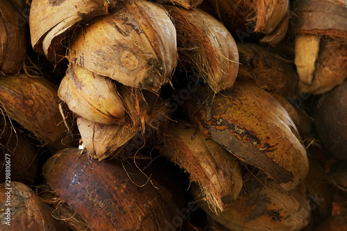 heaps of coconut coir husk pattern background