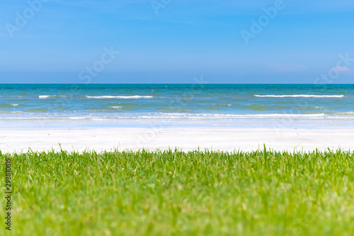 Fototapeta Naklejka Na Ścianę i Meble -  Green meadow near seaside with white beach, blue sea and clear blue sky in background
