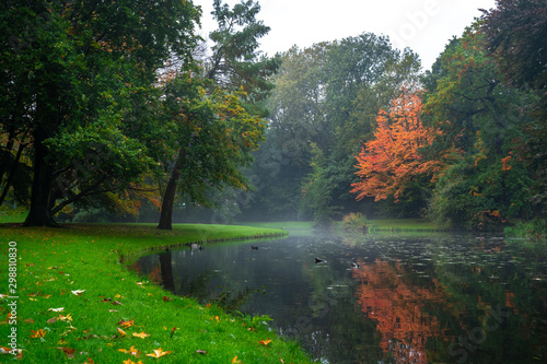City park, trees reflection on the pond water, autumn. Rotterdam, Netherlands. © k_samurkas