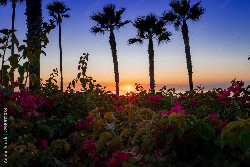 Tropical Flower Garden on the Beach at Sunset