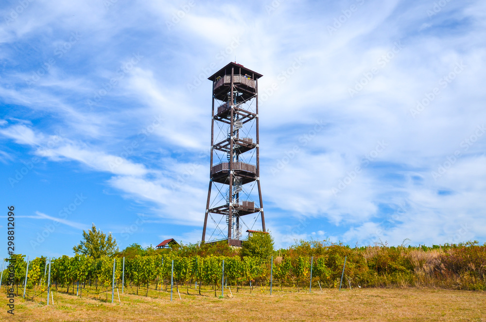 Lookout tower in Pritluky in South Moravia, Czech Republic. Green vineyards around. Moravia wine region in Czechia. Popular tourist destination