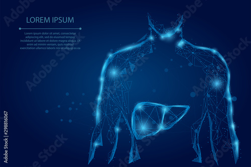 Abstract line and point human body with the liver. Healthcare, Science and Technology Vector Illustration