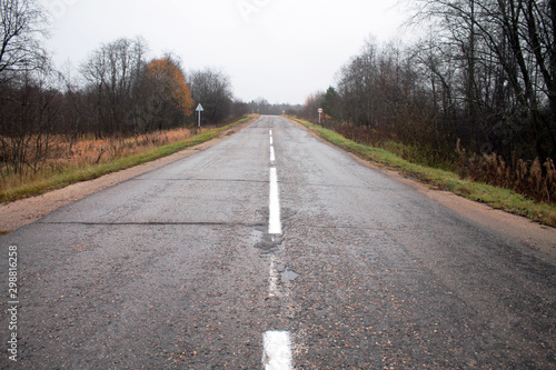 Wallpaper Mural The road through the autumn forest, dropped leaves. Torontodigital.ca