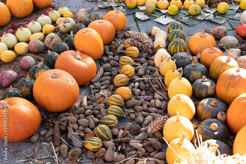 beautiful autumngarden composition with pumpkins. autumn cozy still life. pumpkins, autumn leaves. fall season, thanksgiving holiday, Halloween concept. photo