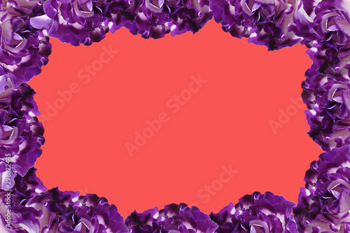 frame of purple flowers on a red background