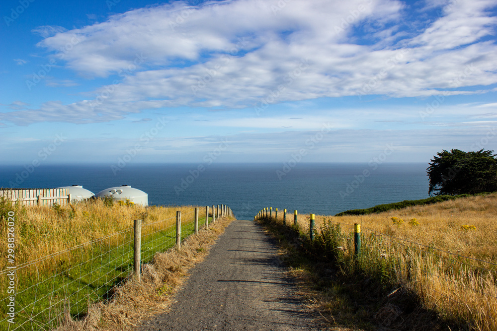 The path down to Tunnel Beach, located in Dunedin, South Island, New Zealand
