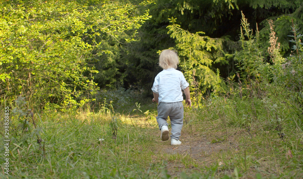 Little boy walking along the path in the forest Little boy walking along the path in the forest