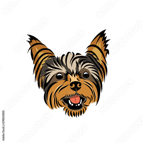 Yorkshire terrier - isolated vector illustration photo