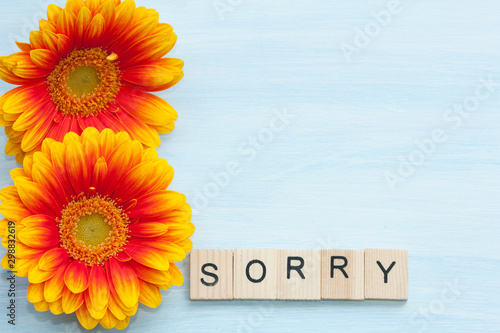 Word sorry and flowers on a blue background. photo